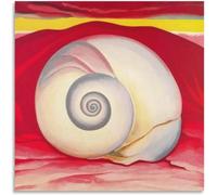 BBAUER Georgia O’Keeffe affiche Red Hill et blanc coquillage toile peinture Georgia O’Keeffe imprime abstrait Wall Art pour la décoration d’intérieur photo 60x60cmx1 sans cadre