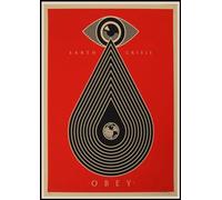 BBAUER Shepard Fairey affiche Liberté Egalite Vintage Wall Art Shepard Fairey imprime Shepard Fairey peinture sur toile pour la décoration d’intérieur photo 50x70cmx1 sans cadre