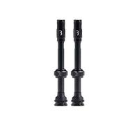 Bbb Al Valve Corecap Tubeless Valves 2 Units Argenté 60 mm Black