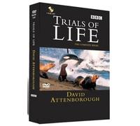 The Trials Of Life