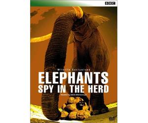 BBC WILDLIFE EXCLUSIVES Elephants Spy in the Herd エレファント・プライベート [DVD]