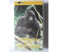 BBC Wildlife Special - Gorillas In The Midst Of Man [VHS] [Import anglais]