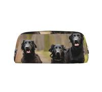 BBEXJIGY Trotting Pochette de rangement polyvalente avec revêtement plat Motif empreintes de pattes Sac de maquillage Voyage Bureau Petit Objets Organisateur Sac, doré, One Size