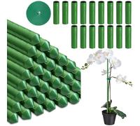 BBLTIFF Lot de 24 supports pour plantes 40 cm x 11 mm avec fermeture fixe et 16 tubes de raccordement, tuteur pour plantes d'intérieur, tuteur professionnel pour l'intérieur et l'extérieur