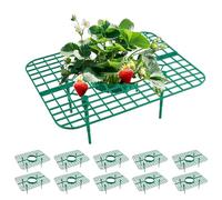 BBRGIRL Lot de 10 supports carrés réutilisables pour fraises et fraises