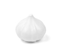 BBTISG Boîte de Rangement Réutilisable pour Fruits et Légumes Ail Oignon BoîTes De Rangement Pour Fruits Et LéGumes Aliments de Cuisine Réfrigérateur et Légumes (ail)