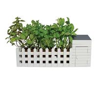 BBTradesales INDOORALL Mini Jardin d'Intérieur