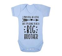 BBY3 Body pour bébé avec inscription « I May be Little but I'm Going to be a Big Brother » Bleu pastel 3-6 mois
