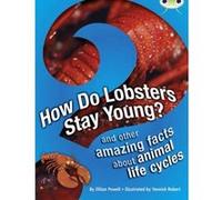 BC NF Brown A/3C How Do Lobsters Stay Young?: NF Brown A/3c (BUG CLUB) Powell, Ms Jillian (Auteur)
