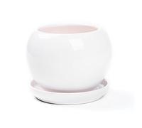 BCJMKDX Pots Vintage, Plantes succulentes Rondes Mignonnes, Culture de Plantes, jardinières Simples, Ornements Bureau for la Maison(White,S)