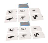 BCOATH 2 Ensembles Kit Éducatif Animation Lenticulaire pour Garçon Fille Expériences Scientifiques Optique et Illusion Visuelle DIY Créatif pour Apprentissage Stem et Éducation Précoce