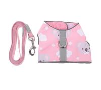 BCOATH Harnais pour Chat avec Laisse Lumineuse en Polyester et Maille Confortable, Réglable et Anti-Fugue, Promenades Nocturnes Sécurisées Plusieurs Styles