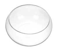 BCOATH Hydroponic Transparent Glass Fish Tref
