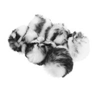 BCOATH Lot de 6 Balles en Peluche pour Chat, Interactif Rond pour Exercice et Jeu, pour Divertir et Changer Le Comportement de Morsure du Chat
