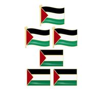 BCOATH Lot de 6 Broches Drapeau de Palestine en Alliage, Épinglettes Solides et Décoratives pour Revers de Costume Design Créatif et Forme du Drapeau National