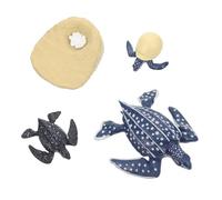 BCOATH Modèles Cycle De Croissance Tortue Luth Figurines Apprentissage Précoce Jouets Animaux De Simulation Modèles Évolution Animale