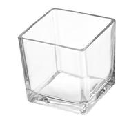 BCOATH Vase Verre Transparent Cube pour Fleurs Vase à Fleurs pour Centre De Table