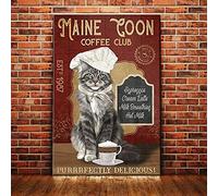 BCTS Maine Coon - Plaque en métal pour salle de jeux - 20,3 x 30,5 cm