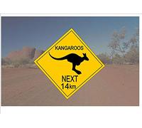 BCTS Panneau de route de style australien en Australie avec inscription « kangourou »