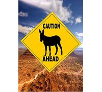 BCTS Panneau de signalisation routière de style australien avec inscription « Caution Donkey Ahead » en métal humoristique pour traverser le trafic fantaisie carré 30,5 x 30,5 cm