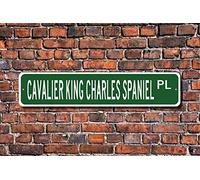BCTS Plaque cavalier King Charles Spaniel Cavalier King Charles Cavalier King Charles Spaniel Cadeau Cavalier King Charles Spaniel Panneau de rue Extérieur 10,2 x 40,6 cm