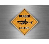 BCTS Plaque en métal carrée fantaisie en forme de requin - 30,5 x 30,5 cm