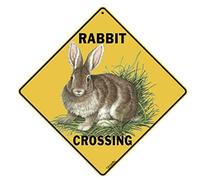 BCTS Plaque en métal humoristique avec inscription « Lapin traversée » 30,5 x 30,5 cm