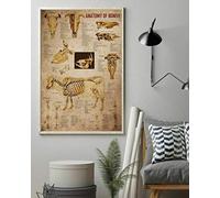 BCTS Poster Anatomie de Vache Affiche murale vintage classique en métal 20,3 x 30,5 cm