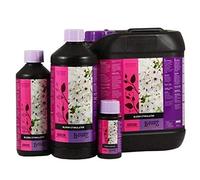 B'Cuzz BLOOM Stimulator 1 litre - ATAMI
