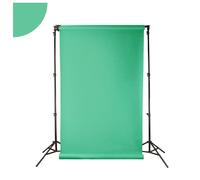 BD - Fond papier Spring Green 2.72 x 11m - BD174A1