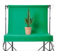 BD - Fond Vinyle Chromakey Vert 1.52 x 2.13m - BDV460507