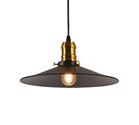BDDCYWY Fer de Style Industriel rétro, Pendentif à Monture à Chasse d'eau, Pendentif à Une Seule tête, Abat-Jour en Fer, Lampes décoratives pour Les Restaurants et Les Bars (Taille: 8,7 Pouces)