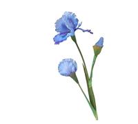 BDFJEDS 2 Pcs Lifelike Simulated Iris Flowers 77cm Long Stem Fake for Home Table Decor Flower Arrangement Wedding Party Decors(Blue)