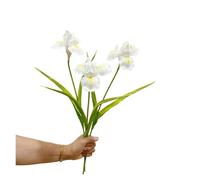 BDFJEDS Fleurs d'iris artificielles Simples de 21.7 Pouces, for la Maison, Mariage, décoration Murale Florale, Arrangement, Affichage, Photographie d'accent(White)