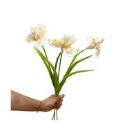 BDFJEDS Fleurs d'iris artificielles Simples de 21.7 Pouces, for la Maison, Mariage, décoration Murale Florale, Arrangement, Affichage, Photographie d'accent(Yellow)