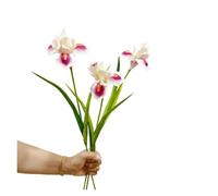 BDFJEDS Fleurs d'iris artificielles Simples de 21.7 Pouces, for la Maison, Mariage, décoration Murale Florale, Arrangement, Affichage, Photographie d'accent(Pink)