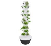 Bdneygtyr Tour hydroponique avec 36 places, tour hydroponique pour jardin intérieur, tour d'agriculture verticale avec 165 cm de hauteur et irrigation automatique, kit hydroponique complet pour herbes
