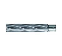BDS BDS Foret trépan HKE-L Weldon HM extra-long, 53/110 mm Quantité:1