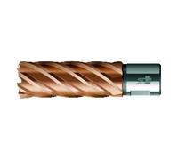 BDS BDS Foret trépan VARIOPlus long KBI HSS queue Weldon 42/50mm Quantité:1