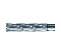 BDS BDS Kernbohrer HKE-L Weldon HM extra-long, 57/110 mm Quantité:1