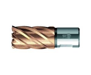 BDS BDS Kernbohrer VARIOPlus court KBK HSS tige Weldon 21/30mm Quantité:1