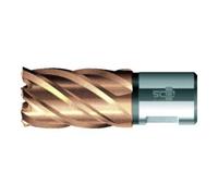 BDS BDS Kernbohrer VARIOPlus court KBK HSS tige Weldon 34/30mm Quantité:1