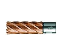 BDS BDS Kernbohrer VARIOPlus long KBI HSS tige Weldon 45/50mm Quantité:1