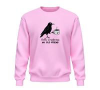 Be Buz Hello Darkness My Old Friend Coffee Sweatshirt - Funny Raven Crow Halloween Pull à col rond - Sweat-shirt unisexe pour amateurs de café - Saison effrayante, rose, S