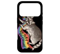 BE Gay DO Crime Pride Flag LGBTQ Raccoon Funny Pride Queer Coque pour iPhone 17 Pro