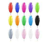 be in your mind 15pcs Plumes d'autruche Naturelles Mélangées Plumes Colorées 25-30cm pour Bricolage Artisanat Non Toxique Inodore Capteurs de Rêves Fête de Mariage Décoration de la Maison