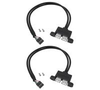 be in your mind Câble Supplémentaire 9 Broches vers Double Port USB 2.0 (0,3 M) Compatible avec La Carte Mère ASRock DeskMini