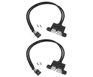 Be In Your Mind Lot de 2 câbles supplémentaires 9 broches vers double ports USB 2.0 0,3 m Compatible avec carte mère ASRock DeskMini