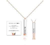 Be Kind...Of A Bich Collier avec pendentif tube de mantra en acier inoxydable avec message caché gravé 3D, collier de barre verticale, bijoux d'amitié cadeau pour, Acier inoxydable, Pas de gemme