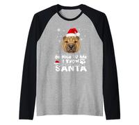 Be Nice to Me I Know Santa Shar Pei Dog Christmas Xmas Manche Raglan